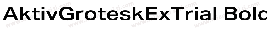 AktivGroteskExTrial Bold字体转换